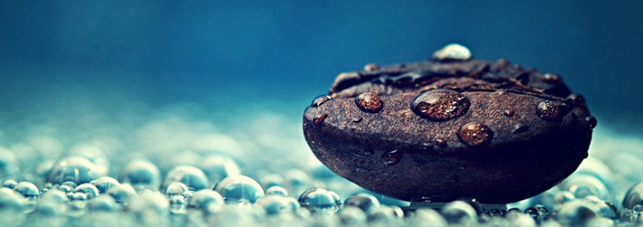 water-drops-on-a-coffee-bean